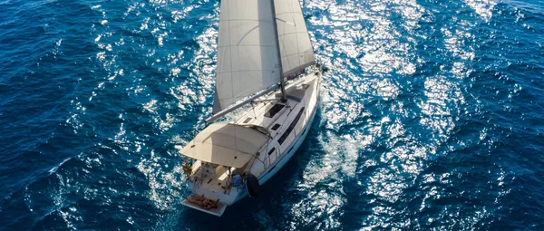 ג'וי בי (Joy B)